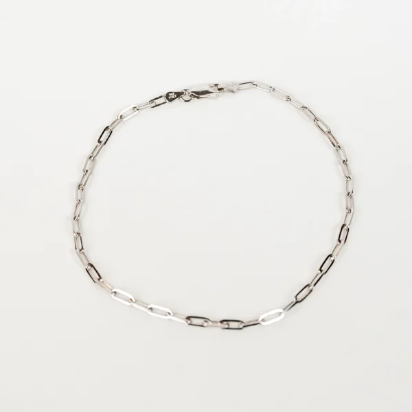 Silver Link III: Silver Paperclip Anklet